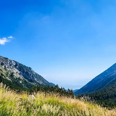 Apartmanica Double 101-12, Big Terrace, St Ivan Rilski 4 Star Resort, Apartment *